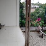 WhatsApp Image 2021-07-30 at 14.40.10